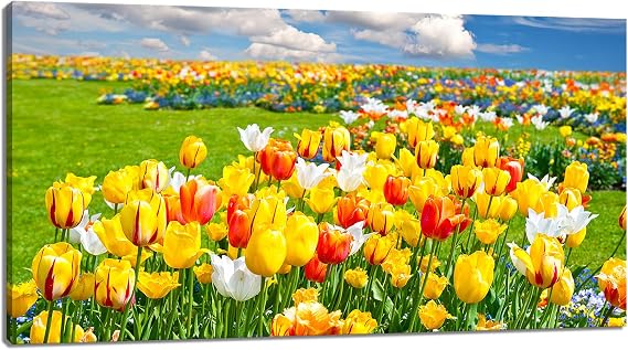Derkymo Tulips Flower Wall Art Vibrant Tulip Field Pictures Yellow Floral Painting Framed Ready to Hang 24x48inch (60x120cm)