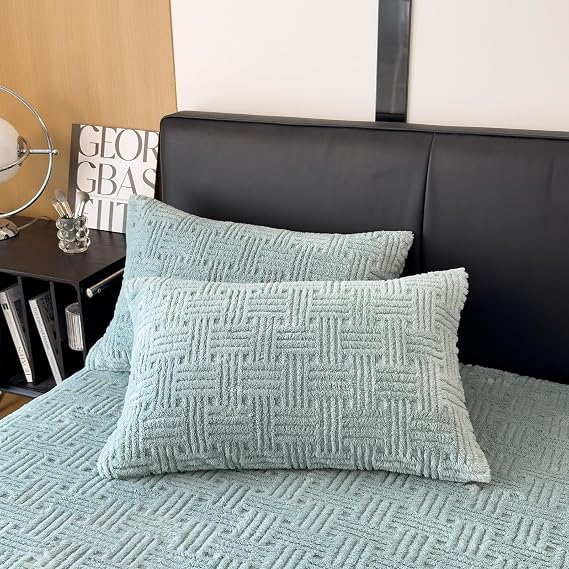ZIQINPSQ Queen Pillowcases Set of 2 - Ultra Soft & Fluffy Fleece Pillow Covers (20x30 Inches) with Zip Closure - Cozy Flannel Feel for Bedroom, Sofa, Couch, Pale Turquoise