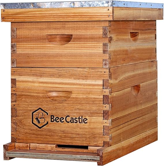 BeeCastle 8 Frame Langstroth Bee Hive Coated with Beeswax Includes Beehive Frames and Waxed Foundations (1 Deep Box & 1 Medium Box)