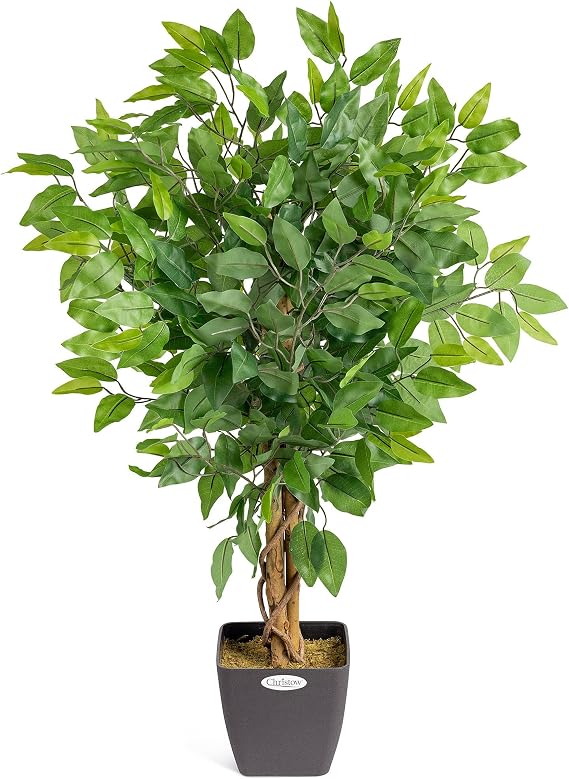 CHRISTOW Artificial Ficus Tree (Weeping Fig) In Pot, 3ft