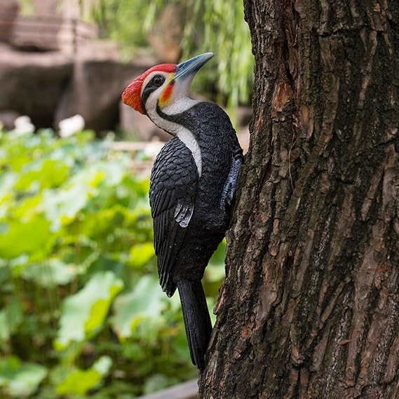 Simulated Woodpecker Sculpture Outdoor Resin Bird Statue, Hanging Tropical Bird, Black-Bellied Woodpecker Sculpture Perfect Courtyard Decoration, Outdoor, Courtyard, Tree Trunk,Large Size: 11 inches