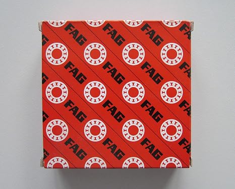FAG Bearings DOUBLE ROW SPHERICAL ROLLER BEARINGS (22338-E1)