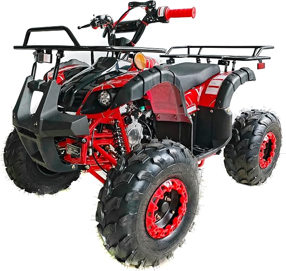 TAO TAO Brand UTILITY Model # ATA-125D - 110cc engine with REVERSE