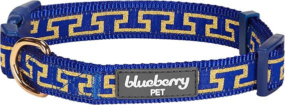 Blueberry Pet 4 Patterns Gold Metallic Thread T-Shape Royal Blue Adjustable Dog Collar, Large, Neck 18"-26"